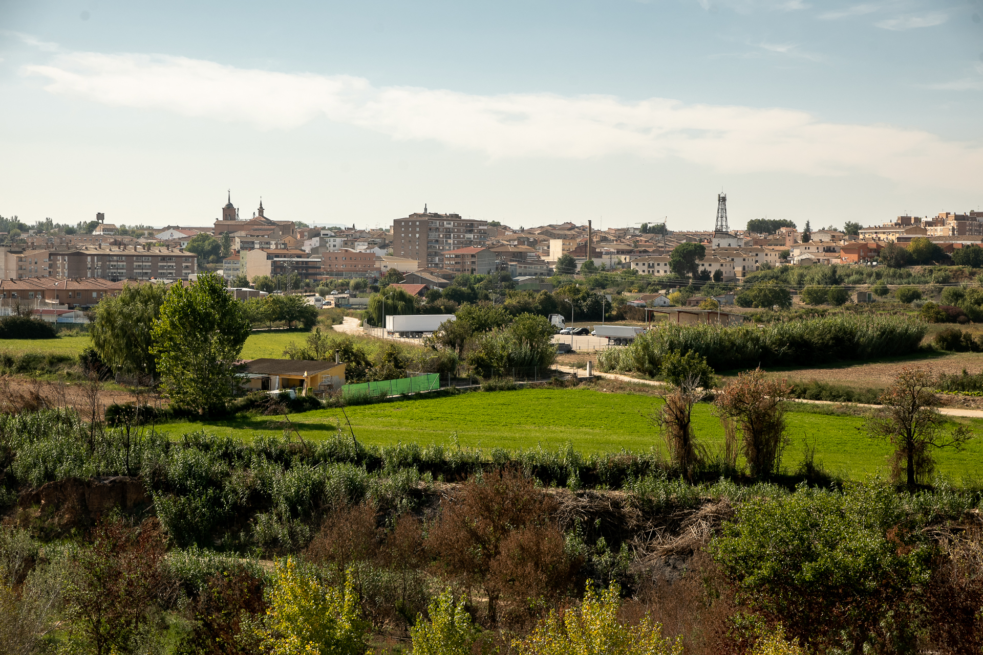 Sariñena