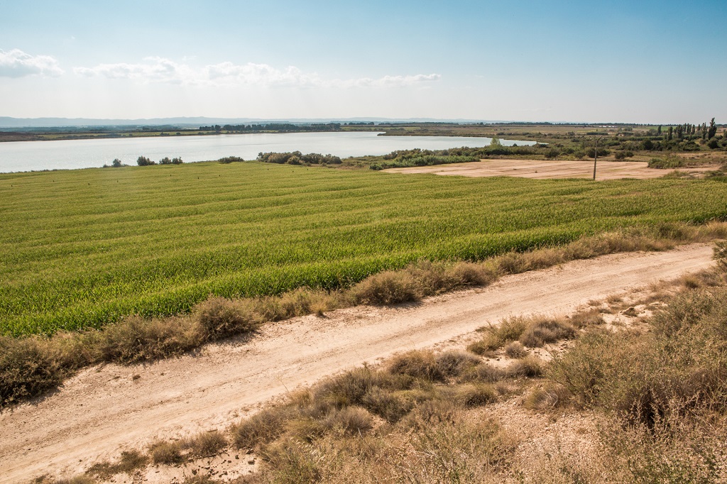 Rutas por la laguna de Sariñena