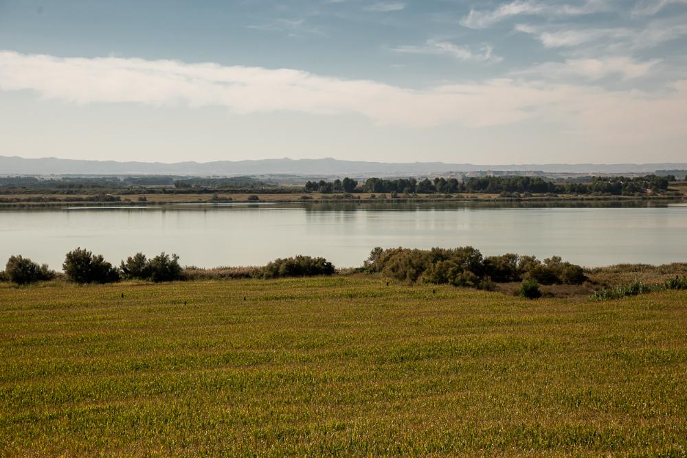 Rutas por el entorno de Sariñena