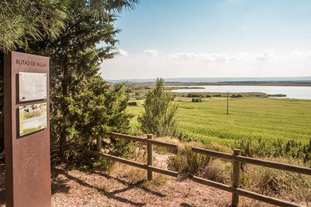 Laguna de Sariñena