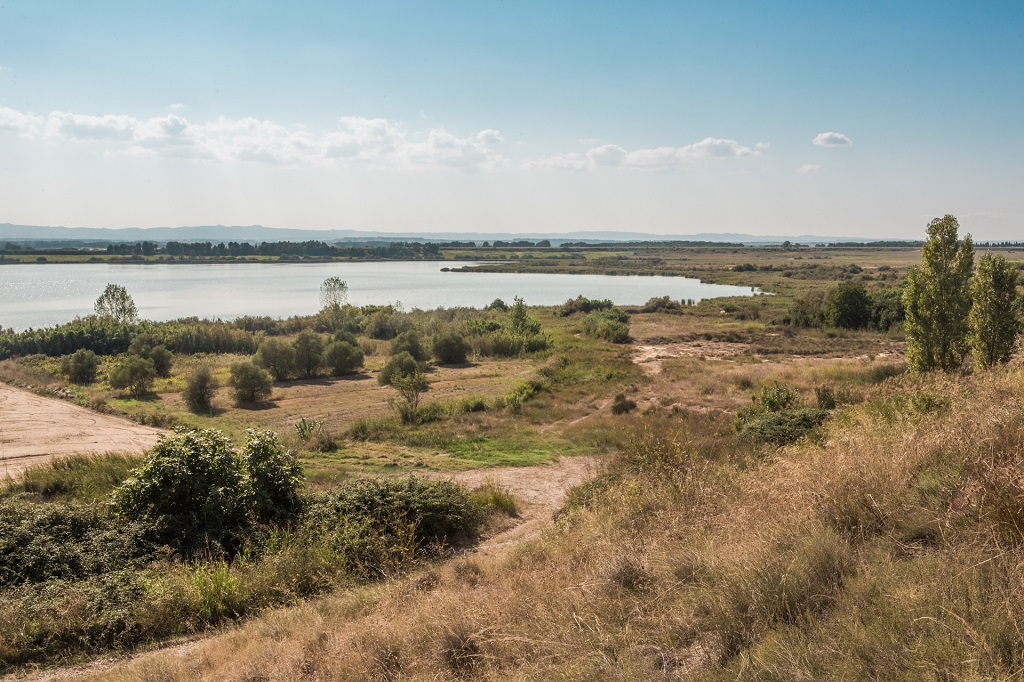 Laguna de Sariñena