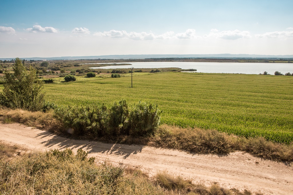 Laguna de Sariñena